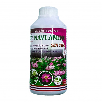 NAVI AMINO - SEN THÁI